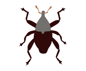 vector illustration of a cartoon bug