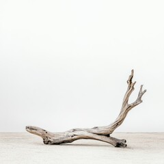 Fototapeta premium Curved Weathered Wooden Branch Nature on white background