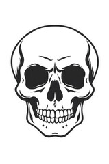 anatomical drawing, human skull black and white sketch 