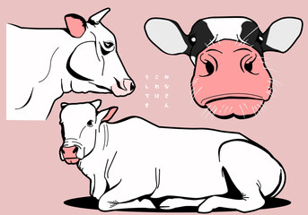 Cool and Super Cow Vector Pack Perfect for Branding and logos for farms, dairy products, livestock businesses, food packaging, etc