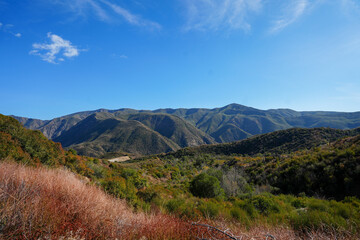 Los Padres National Forest in Ojai
