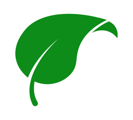 Minimalist Green Leaf Icon for Eco-Friendly Branding, Sustainable Projects, and Environmental Awareness Campaigns. Vector illustration