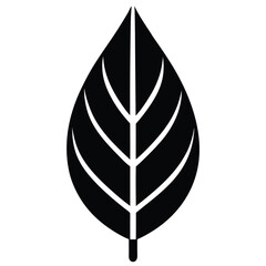 A simple design vector leaf icon,vector with illustration