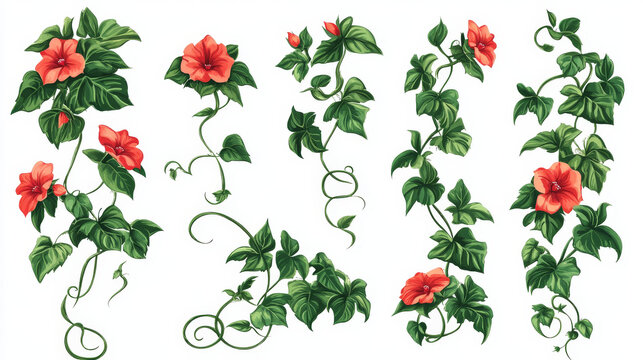 Jungle creeper plants, lianas with green leaves and red flowers. Vector cartoon set of borders of climbing ivy vines, curly hanging floral branches isolated on white background