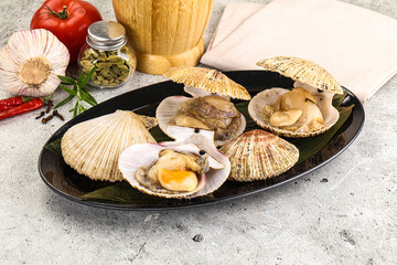 Raw fresh scallops in the shell