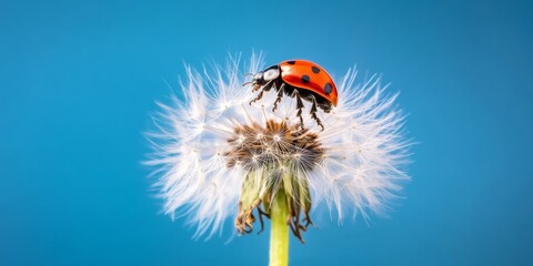 Vibrant Nature Aesthetic Ladybug on Dandelion Against Clear Blue Sky - Eco-Friendly Design and Visual Marketing for Environmental Campaigns