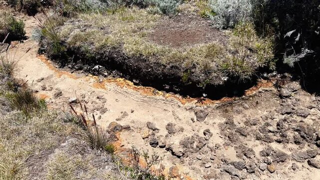France - Reunion Island - Volcanic area Piton de Bert - dry river during summer