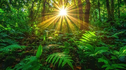 Emerald canopy, Sunlight filtering through lush jungle vegetation