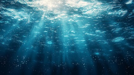 Gentle sunlight filters through clear blue water, creating a peaceful underwater ambiance. Air bubbles rise gracefully, adding depth to the tranquil scene and evoking a sense of calm