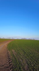 A dirt road leading to a field