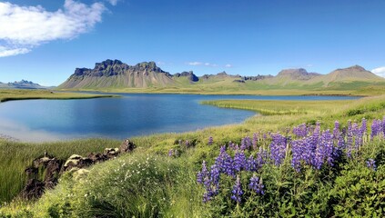 Serene Landscape with Vibrant Purple Flowers, Tranquil Blue Waters, Majestic Mountains under Clear Sky in Icelandic Nature Scene