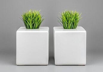 Two Modern White Square Pedestals with Green Grass Decor