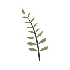 Recolorable Plant Element Nature Leaf Tree Natural Green Organic Illustration