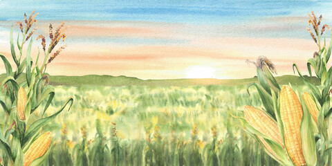 Field of corn banner. Watercolor landscape against sunset or sunrise sky. Farmers agricultural field with maize plant cobs, cereals. Farm nature view. Hand drawn illustration isolated from background © Bartol_art