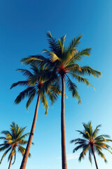 Obraz premium Golden Hour Tropical Palm Trees with Lush Green Leaves Against a Clear Blue Sky in a Digital Photorealistic Art Style Evoking Relaxation and a Peaceful Vacation Atmosphere