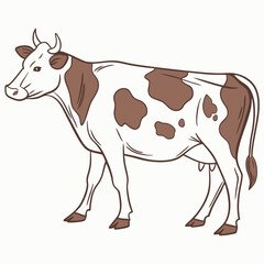 cow on a white background