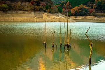 湖面の煌めき