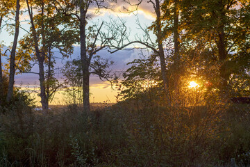 
a sunset is seen in the forest where the sun shines through the trees.