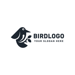vector bird logo illustration