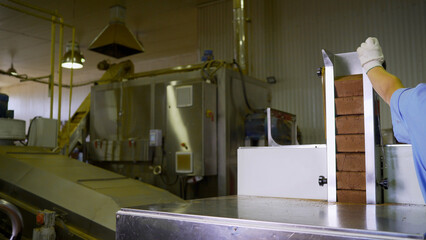 Automated conveyor belt system operating in modern factory