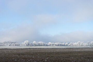 Winter landscape in Saxony-Anhalt, Germany with hoarfrost 