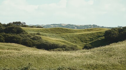 Obraz premium Rolling hills, green landscape, serene scenery, nature background, ideal for peaceful imagery
