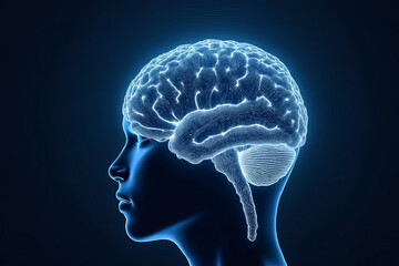 Fototapeta premium Human brain illustration in blue light, showcasing neural connections and structure