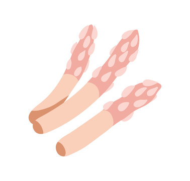 pink asparagus stalks on white background clip art preview