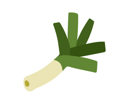 leek vegetable green and white simple design clip art preview