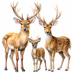 Naklejka premium Watercolor Deer Family Clipart PNG for Sublimation