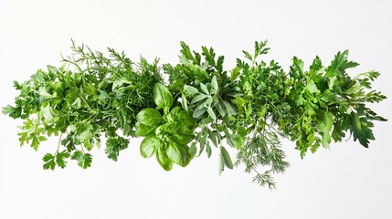 Obraz premium Gracefully cascading green herb leaves in a studio setting highlight their vibrant textures and forms against a clean white backdrop, creating a fresh culinary aesthetic.