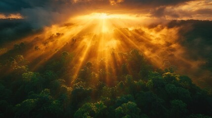 Naklejka premium Aerial Sunrise Beams Forest Mist Mystical Landscape