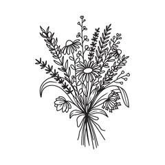 flower bouquet vector. Hand drawn flower. Wildflower line art bouquets set, wild plant, botanical vector illustration