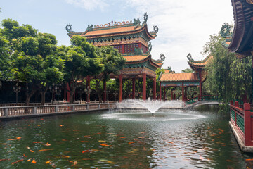 Obraz premium kio fishes swimming in the pond