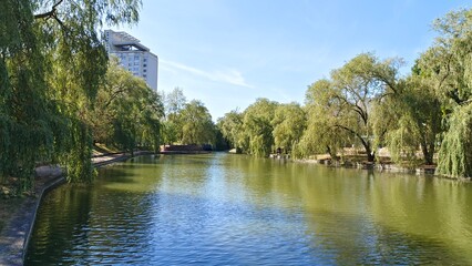 Willows and other deciduous trees grow on the grassy concreted banks of the canal, and buildings...