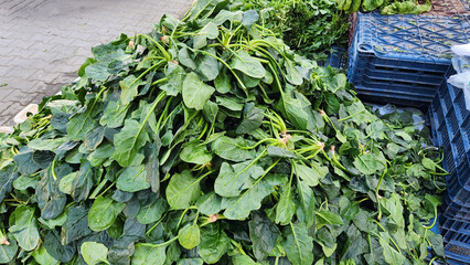 As a winter vegetable, the stacked bundles of spinach on a vendor's stall create a fresh and appealing display, drawing customers with their vibrant green leaves