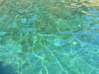 Emerald green sea clear water surface.