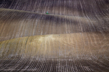 Rural rapeseed spring fields in South Moravia, Czech Republic.