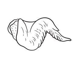 Chicken Wing illustration Hand drawing suitable For restaurant menu, flyer, and card.