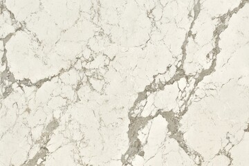 Fototapeta premium Close up of a white marble surface featuring intricate gray veining, ideal for backgrounds, interior design, or architectural inspiration