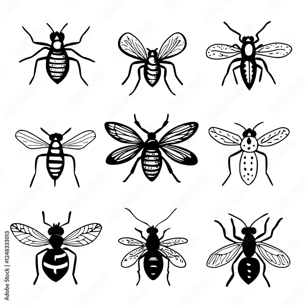 Poster study of different bee species displaying unique characteristics and patterns in a grid layout