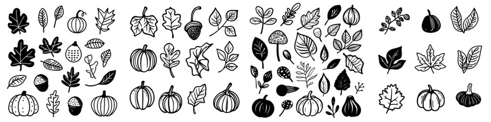 Collection of fall-themed illustrations featuring leaves, pumpkins, and acorns for seasonal design projects