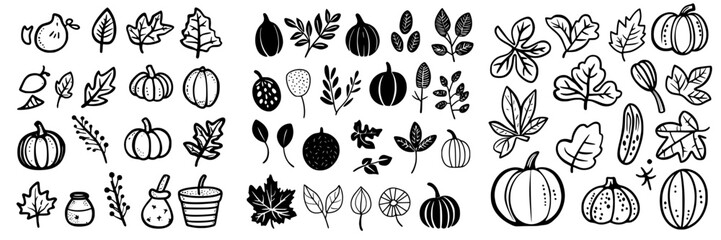 Fototapeta premium Collection of hand-drawn botanical illustrations featuring pumpkins, leaves, and natural elements in a minimalist style