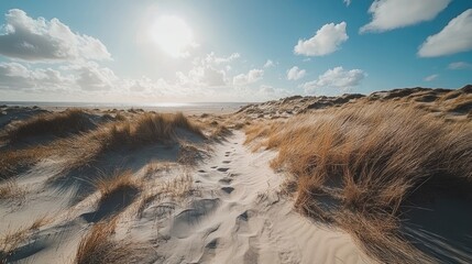 Sandy Beach Path Leading To Ocean Under Sunny Sky