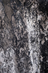 Old Concrete Cement wall background texture.