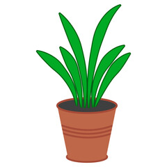 Cartoon Houseplant in Terracotta Pot, houseplant with long green leaves
