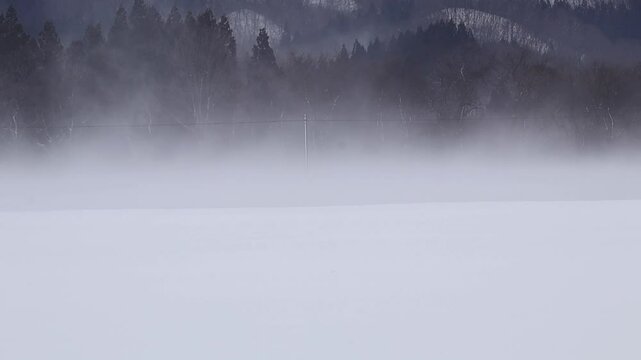 吹雪　暴風雪　冬　強い風　寒気　雪　北国　イメージ