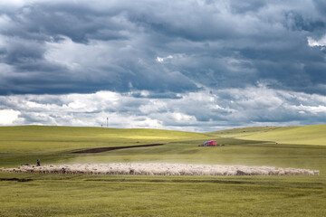 grassland landscape with clouds in china