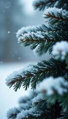 Close-up of frosted Christmas tree branches, snowy texture, winter wonderland feel, image background, winter background
