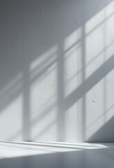 Minimalist White Wall with Sunlight Shadows Creates a Serene Atmosphere
